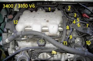 3.4L and 3.1L engine sensor locations.