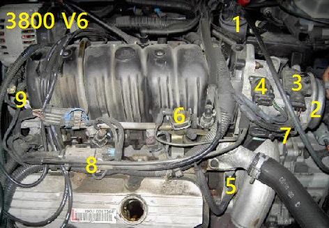 3800 V6 Engine Sensor Locations